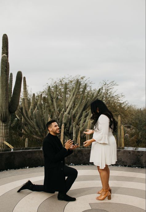 Arizona Proposal, Desert Proposal, Desert Botanical Garden, Proposal Engagement, Arizona Wedding, Desert Wedding, Live Life, Botanical Gardens, Arizona