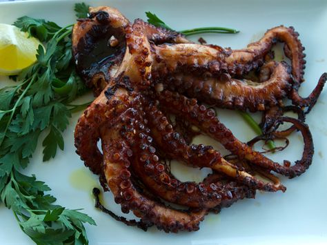 Grilled Octopus Herb Oil Recipe, Tuscan Coast, Octopus Recipe, Octopus Recipes, Calamari Recipes, Recipe Italian, Bizarre Foods, Grilled Octopus, Octopus Print