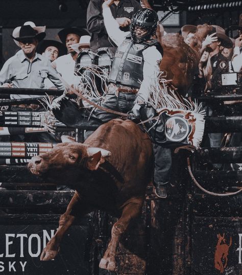 Bull Riding Pictures, Female Bull Riders, Pbr Aesthetic, Rodeo Life Aesthetic, Bullrider Aesthetic, Bull Rider Aesthetic, Bull Riding Aesthetic, Rodeo Painting, Jake Dawson