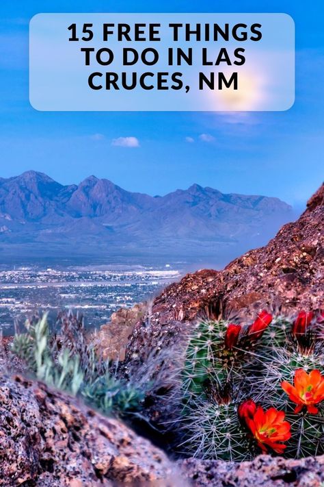 Discover the best free things to do in Las Cruces, NM. Including The Zuhl Museum, Art Obscura, see the Recycled Roadrunner Sculpture and more. Things To Do In Las Cruces New Mexico, Movie In The Park, New Mexico State University, Mexico Trip, Winter Trip, Hiking Spots, Memorial Park, Free Things To Do, Free Things