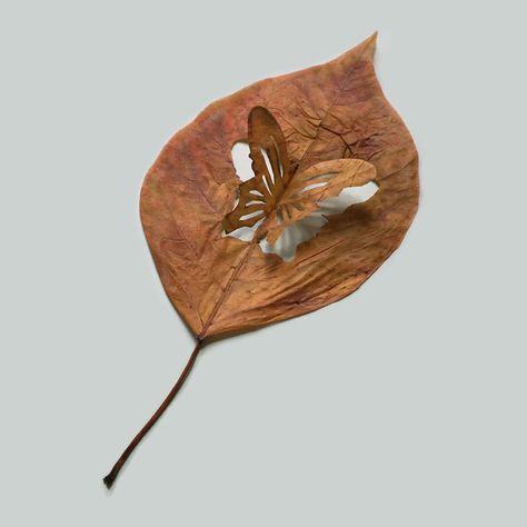 Leaf Art Diy, Dry Leaf Art, Nature Projects, Multimedia Artist, Leaf Crafts, Fallen Leaves, Autumn Crafts, Bird Tree, Painted Leaves