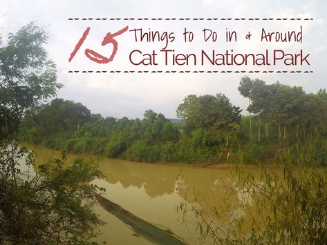 In between Ho Chi Minh & DaLat, Cat Tien National Park is one 72,000 hectares lowland rainforests. Find out how to get there, where to stay and what to do. Cat Tien National Park, Koh Samui Thailand, Samui Thailand, Overseas Travel, Island Tour, Koh Samui, Ho Chi Minh, Travel Itinerary, Trip Planning