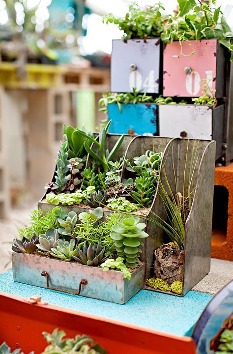 Succulent Containers, Wood Succulent Planter, Upcycled Planter, Ghost Plant, Patio Pergola, Upcycle Garden, Backyard Pergola, Unique Planter, Succulents In Containers