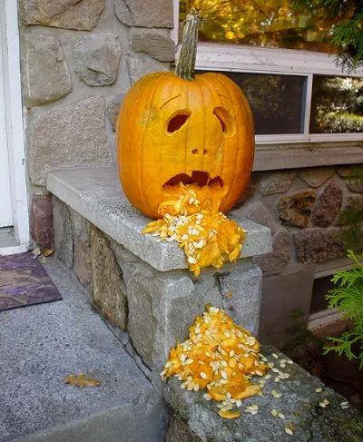 Vomiting Pumpkin or Puking Pumpkin - Pumpkin Carving Ideas for Halloween - Celebrating Halloween Pumpkin Throwing Up, Puking Pumpkin, Pumpkin Carving Stencils Free, Pumkin Carving, Creative Pumpkin Carving, Pumpkin Carving Designs, Growing Pumpkins, Pumpkin Carving Ideas, Pumpkin Carving Templates