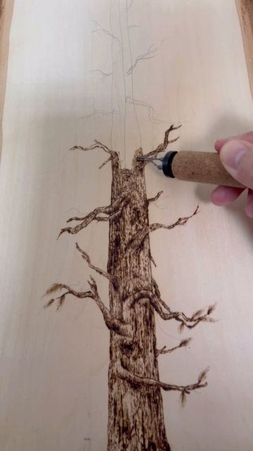 Wood burning art on Instagram: "Pine tree wood burning 🔥 . . . #woodworking #woodslice #handmade #pyrography" Wood Burning Pine Trees, Pyrography Trees, Pyrography Ideas Inspiration, Tree Wood Burning, Woodburning Crafts, Pyrography Ideas, Beetle Art, Pyrography Art, Wood Burning Crafts