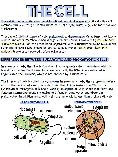 Introduction To Biology Notes, Biology Foundation Notes, Micro Biology Notes, Class 11 Biology Notes Cell The Unit Of Life, Bsc 1st Year Zoology Notes, Basic Biology Notes, Prokaryotic Cell Notes, General Biology Notes, Grade 11 Biology Notes