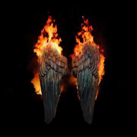 Burning Angel Wings, Angel Wings Background, Dark Angel Wings, Angel Dragon, Background Fantasy, Fantasy Dream, Wings Png, Hot Tub House, Dog Tree