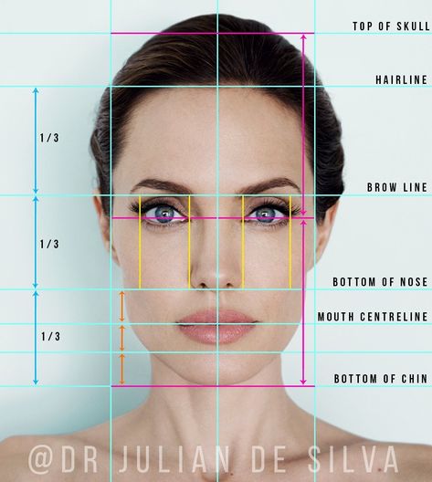 Face Symmetry, Square Face Makeup, Drawing Body Proportions, Body Gestures, Best Eyebrow Makeup, Facial Proportions, Face Proportions, Head Anatomy, Beauty Science