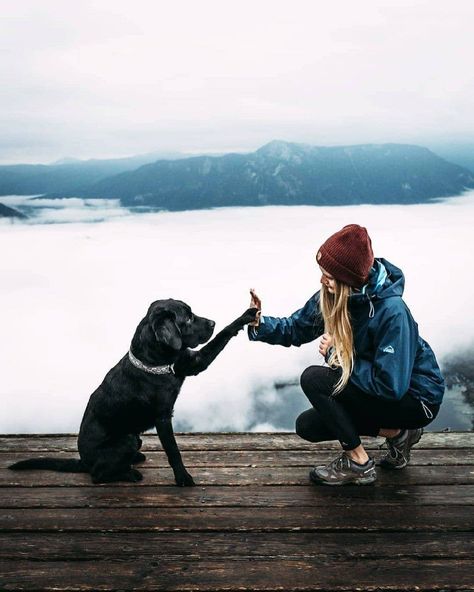 Travel girl dog amazing Dog Owner Photoshoot, Dog Family Pictures, Pet Photography Poses, Dog Photoshoot Pet Photography, Dog Photography Poses, Dog Foto, Dogs Photos, Animal Photoshoot, Photos With Dog