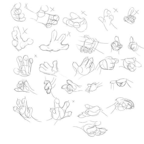 Anthro Hands, Zootopia Disney, Paw Drawing, Draw Hands, Drawing Cartoon Faces, Hand Drawing Reference, Animal Character, Hand Reference, Creative Drawing