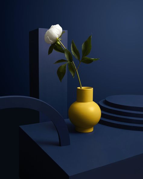 Dark Palette, Colourful Images, Modern Flower Vase, Vase Ideas, Famous Pictures, Yellow Vase, Flower Company, Creative Review, Study Photography