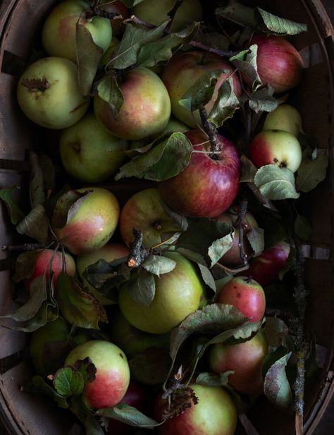 Apple pie ice cream Apple Still Life Photography, Candied Apples Slices, Twigg Studios, Apple Still Life, Apple Pie Ice Cream, Ice Cream Pie Recipe, Apple Pastry, Pie Ice Cream, Apple Dishes