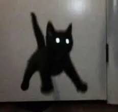 White Glowing Eyes, White Cat Meme, All Black Cat, Jumping Cat, Black Cat Aesthetic, Meme Cat, Black Cat Anime, White And Black Cat, Any Pronouns