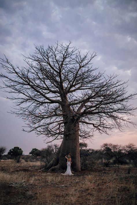 Simply Sophisticated Wedding at Bordeaux Game Farm by Page & Holmes Bosveld Troue, Bushveld Wedding, Tropical Locations, Bush Wedding, Africa Wedding, Safari Wedding, Wedding Aesthetics, South African Weddings, Game Lodge