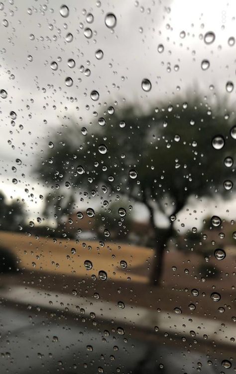 Cloudy Weather, Heavy Rain, Rain Photography, Rainy Days, Blur, How To Dry Basil, Celestial Bodies, Photographer, Photography