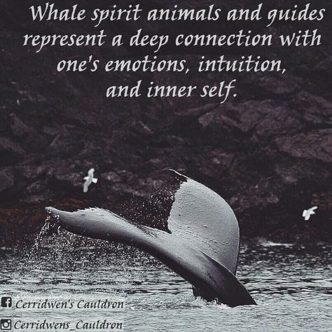 Whale Spirit Animals Orca Whale Spiritual Meaning, Orca Spirit Animal Meaning, Whale Spirit Animal Meaning, Whale Spirit Animal, Whale Meaning, Diy Fake Tattoo, Spirit Animal Meaning, Totem Animals, Animal Meanings