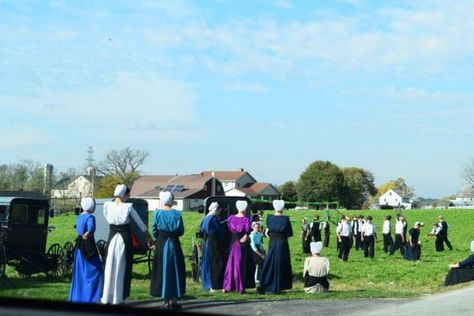 Guide to Amish Wedding Traditions in Lancaster - Amish Farm and House Mennonite Wedding, Amish Wedding, Wedding Dress Blue, Amish Living, Christian Husband, Amish Culture, Amish Life, Amish Farm, Wedding Dresses Images