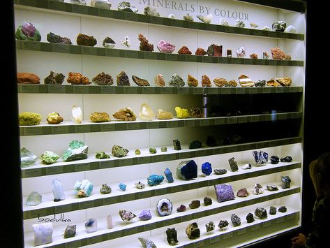 Gem Collection Display, Mineral Collection Display, Rock Collection Storage, Crystal Collection Display, Rock Collection Display, Gemstone Display, Rock Display, Crystal Room Decor, Crystal Store