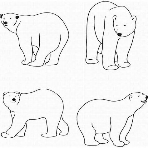 Polar Bear Outline, Polar Bear Drawing, Bear Svg, Bear Drawing, Silhouette Photos, Animal Habitats, Arctic Animals, Diy Crafts To Do, Christmas Drawing