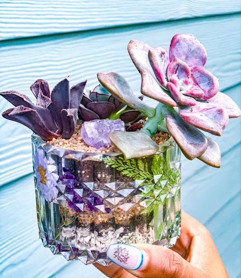 Purple Succulents, Succulent Gardens, Resin Planters, Pot Plants, Jade Crystal, Succulent Arrangements, Succulents Garden, Boho Vibe, Amethyst Crystal