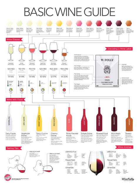 wine and food pairings Wine Calories, Syrah Wine, Wine Basics, Wine Chart, Wine Folly, Wine Knowledge, Wine Education, Wine Tasting Party, Wine Guide