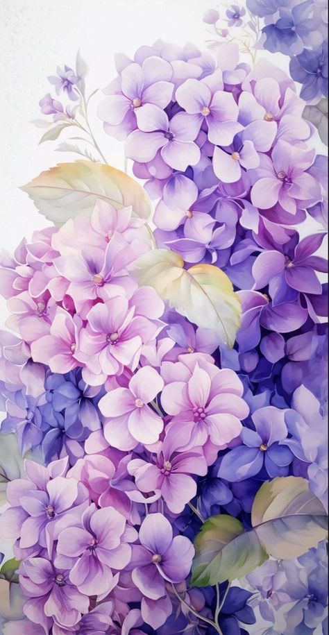 Hydrangea Artwork, Hydrangeas Art, Galaxies Wallpaper, Flowery Wallpaper, Floral Print Fabric, Fantasy Art Landscapes, Flower Phone Wallpaper, Hydrangea Flower, Pretty Wallpapers Backgrounds