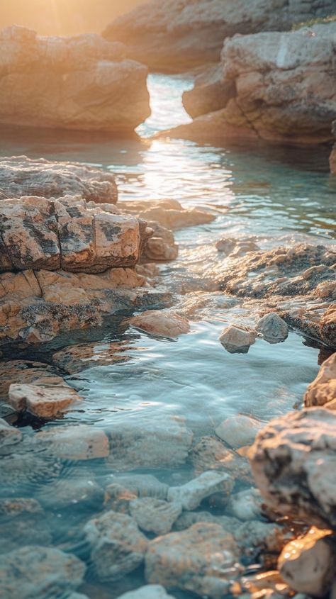 Sunlit Rocky Shore: A tranquil rocky shore kissed by the golden sunrise, with clear water reflecting the serene sky. #sunrise #rocks #water #tranquil #shore #nature #reflection #golden #aiart #aiphoto #stockcake https://ayr.app/l/UDA5 Rocky Ocean Shore, Nature Reflection, Reflection Pictures, Black Bird Tattoo, Golden Sunrise, Ocean Shore, Sky Sunrise, Ocean Shores, Rocky Shore