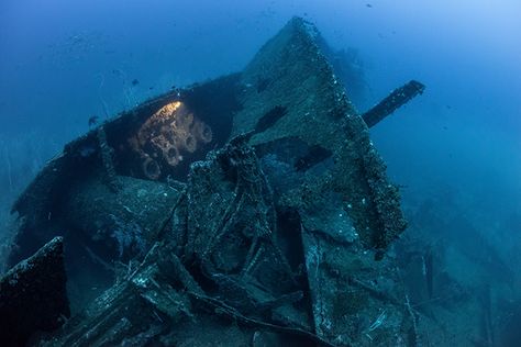 Underwater Shipwreck, Sunken Ships, Underwater Ruins, Middle Of The Ocean, Ship Wreck, Old Ship, شرم الشيخ, Fauna Marina, Under The Water