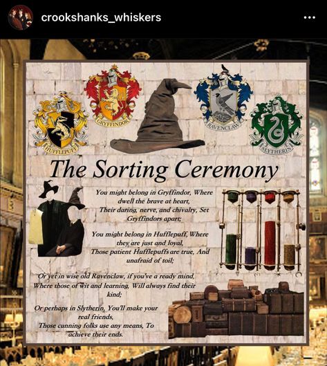 Sorting Ceremony, Hogwarts Life, Harry Potter Planner, Art Planner, Gryffindor Aesthetic, Hogwarts Dr, Harry Potter Christmas, Staff Appreciation, Harry Potter World