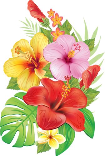 Hawaiian Flower Drawing, Hibiscus Drawing, Tropical Flower Tattoos, Shri Hanuman, A Bouquet Of Flowers, Flowers And Butterflies, Plant Drawing, Hawaiian Flowers, Vintage Diy