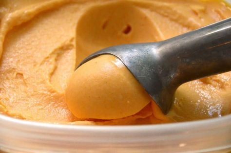 Sherbet Recipes, Cuisinart Ice Cream, Apricot Recipes, Orange Blossoms, Sorbet Recipes, Ice Cream Desserts, Ice Cream Maker, Frozen Desserts, Fruit Flavored