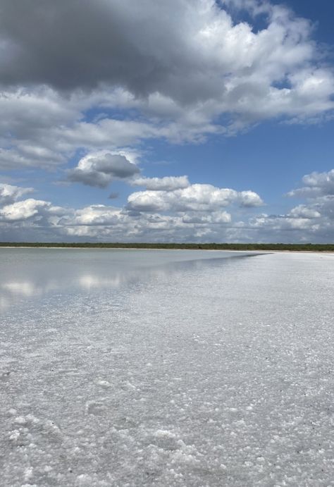 Lower Rio Grande Valley National Wildlife Refuge | U.S. Fish & Wildlife Service Nature Tourism, Fish Hatchery, Rio Grande Valley, East Lake, Gone Fishing, Nature Trail, Rio Grande, Adventure Awaits, New Adventures