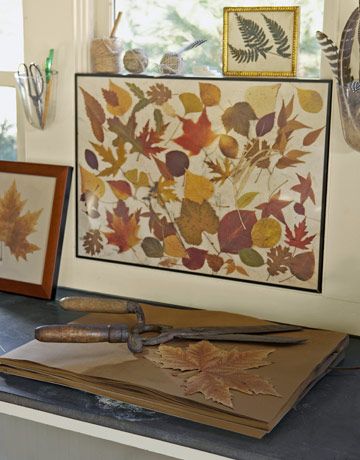 A framed collage of pressed leaves. *Step-by-step instructions for how to press leaves: http://www.countryliving.com/crafts/projects/how-to-press-leaves-1108 Leaf Collage, Leaf Projects, Framed Leaves, Leaf Collection, Pressed Leaves, Education Inspiration, Leaf Crafts, Autumn Crafts, Pressed Flower Art