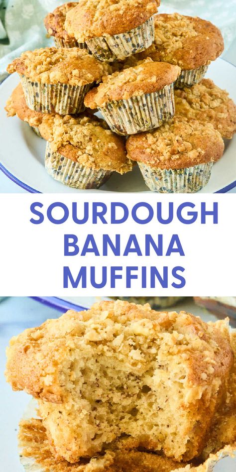 Sourdough Banana Muffins (Walnut Crumb Topping) Banana Muffins Moist, Sourdough Banana Muffins, Sourdough Banana, Brown Sugar Oatmeal, Walnut Muffins, Nut Muffins, Easy Sourdough, Vegan Substitutes, Banana Nut Muffins