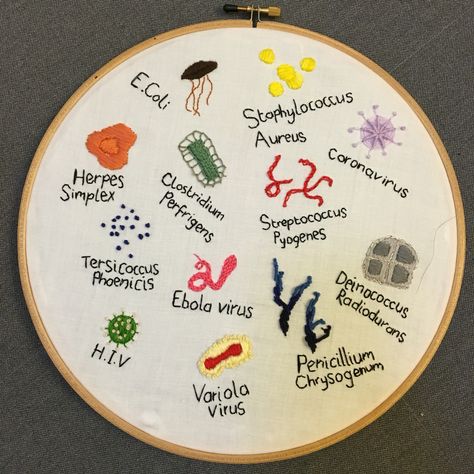 Immunology embroidery Bacteria Embroidery, Science Embroidery, Clothes Embroidery Diy, Tapestry Kits, Thread Art, Hand Embroidery Projects, Embroidery On Clothes, Hand Embroidery Art, Hand Embroidery Patterns