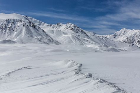 Tundra Land Biome Description and Characteristics Tundra Biome, Arctic Hare, Arctic Landscape, Arctic Tundra, Monte Fuji, Summer Temperature, Bird Migration, Awesome Nature, Biome