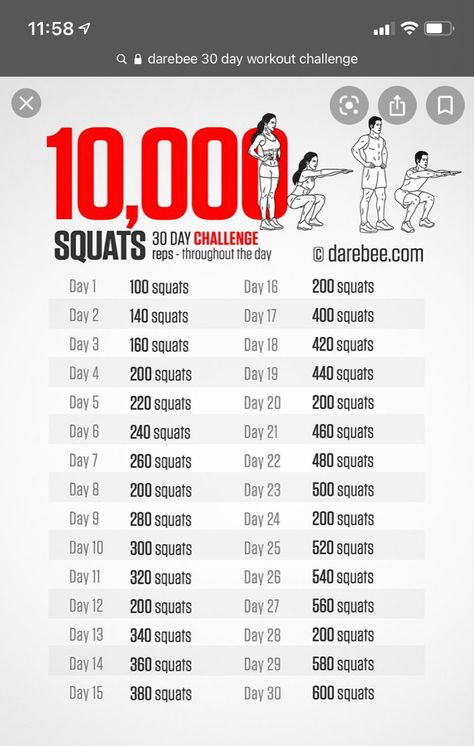 100 Day Workout Challenge, 100 Day Workout, 100 Squats, 30 Day Workout Challenge, 30 Day Challenge, Workout Challenge, Karate, Health