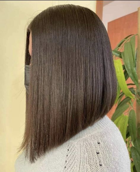 One Length Triangular Haircut, Triangular One Length Haircut, Short In The Back Long In The Front Hair, Triangular Bob, Triangular Haircut, Long Aline Bob, Tuns Bob Lung, Triangle Haircut, Very Long Bob