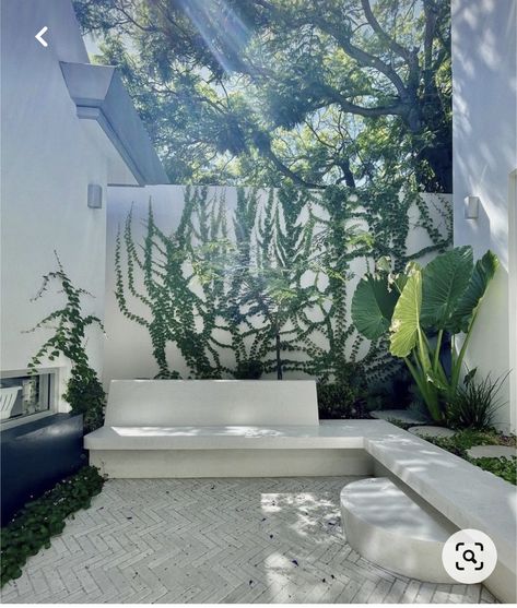 Flower Garden Australia, Pool Gardens Australia, Modern Pool Landscaping, Perth Garden, Minimalist Backyard, Tulum Decor, Pool Australia, Pool Garden Design, European Exterior