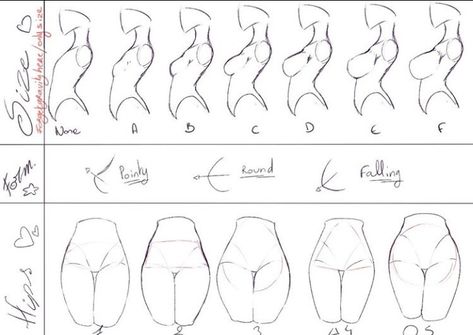 Female Anatomy Reference, Body Drawing Tutorial, Human Anatomy Drawing, Drawing Faces, Body Reference Drawing, Female Anatomy, Poses References, Anatomy Drawing, Figure Drawing Reference