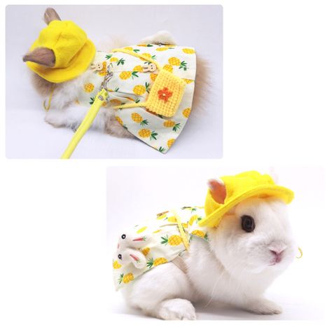 Rabbit Harness, Bunny Harness, Bunny Fashion, Rabbit Clothes, Rabbit Dress, Harness Dress, Pet Bunny, Yellow Hat, Baby Pigs