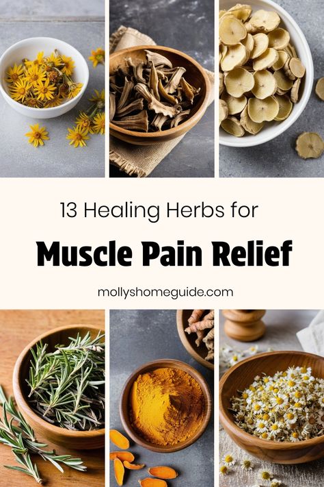 Explore the healing power of herbs and essential oils with homemade remedies like herbal pain relief salves and muscle rubs. Discover natural alternatives for alleviating sore muscles and muscle pain using soothing ingredients like dandelion balm, ginger salve, and other pain relieving herbs. Whether you prefer DIY solutions or ready-made creams, incorporating these effective remedies into your routine can provide comfort and relief. Embrace the benefits of nature's pharmacy for muscle relaxatio Sore Muscle Relief, Body Care Recipes, Herbal Medicine Recipes, Medical Herbs, Restless Legs, Reducing Inflammation, Foot Pain Relief, Growing Pains, Muscle Pain Relief