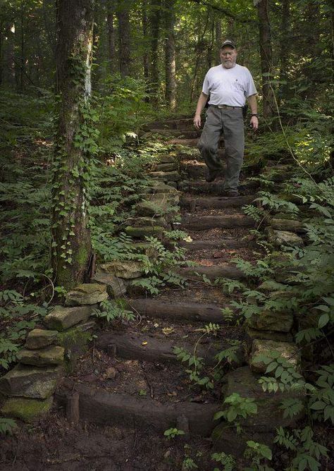 Garden Stairs Wood, Log Lined Path, Uphill Pathway Ideas, Natural Stairs Outdoor, Natural Yardscapes, Log Stairs Outdoor, Trail Stairs, Log Steps, Forest Stairs