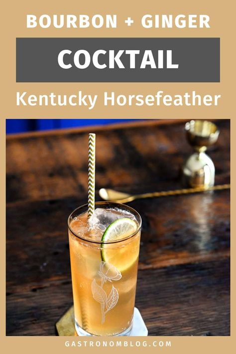 Looking for an easy, new classic whiskey cocktail recipe? Try the Kentucky Horsefeather! Made with smooth bourbon and spicy ginger beer, this new classic drink is perfect for any occasion. We will show you how to make a Horsefeather cocktail recipe with spicy ginger beer! Burbon Drinks, Ginger Beer Drinks, Kentucky Derby Food, Ginger Beer Cocktail, Bourbon Cocktail Recipe, Ginger Cocktails, Cocktail Recipes Whiskey, Ginger Drink, Whiskey Cocktail