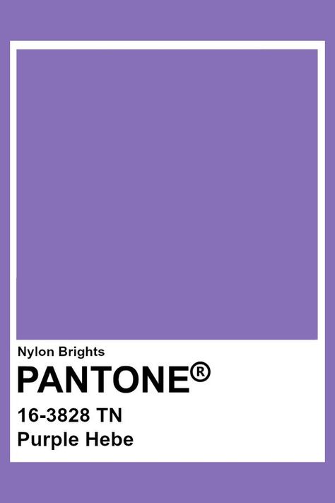 Pantone Violet Purple, Pantone Purple Aesthetic, Purple Pantone Aesthetic, Purple Pantone Palette, Purple Pantone Shades, Pantone Colors Purple, Pantone Purple Shades, Purple Swatches, Pantone Violet