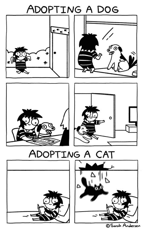 Sarah's Scribbles, Sarah Andersen, Cat Hacks, Cat Comics, Funny Animal Memes, Funny Cute Cats, Fun Comics, Cute Comics, Animal Memes