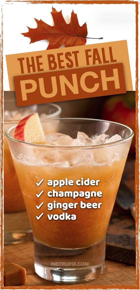 So dang good, It will disappear before your eyes! For parties or large gatherings, I find punch bowl recipes to be super easy and crowd pleasing, and this one is my favorite for Halloween or Thanksgiving. For adults only! It's made with simple ingredients including apple cider, champagne, ginger beer and vodka. This mixture is amazing! Great for family gatherings or anytime during the holidays. Everyone will be begging you for this easy alcohol punch recipe for fall. Fall Drinks Champagne, Dispenser Alcohol Drinks, Cold Fall Alcoholic Drinks, Healthy Fall Drinks Alcohol, Fall Alcoholic Drinks Pitcher, Light Hourdourves, Drink Dispenser Recipes Alcoholic, Fall Mixed Drinks For A Crowd, Apple Cider Big Batch Cocktails