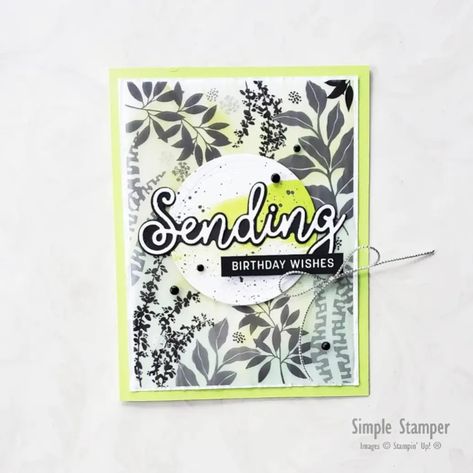 Verena Shapiro on Instagram: “A super quick card using the Sending Smiles bundle and the Lovely Layers Vellum. How fun a colour is Parakeet Party?? Love it! Playing…” Lovely Layers Vellum Stampin Up Cards, Stampin Up Lovely Layers Vellum, Stampin Up Lovely Layers Vellum Cards, Lovely Layers Vellum, Fancy Frames, Sending Smiles, Vellum Cards, Quick Cards, Stamping Up Cards