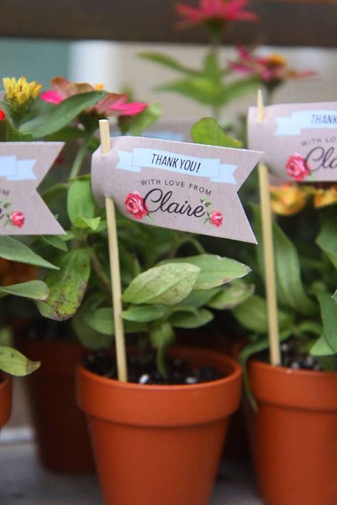 Potted flowers from Shabby Farmers Market Birthday Party at Kara's Party Ideas. See more at karaspartyideas.com! Farmers Market Birthday, Flower Favor, Farmers Market Birthday Party, Picnic Themed Parties, Grow Mint, Garden Party Favors, First Birthday Party Favor, Kraft Tags, Flower Birthday Party