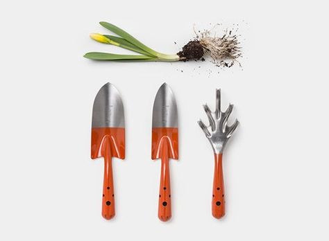 Beds Wood, Best Hand Tools, Fall Vegetables, Garden Power Tools, Garden Tool Storage, Home Vegetable Garden, Garden Pests, Gardening Tools, Garden Soil